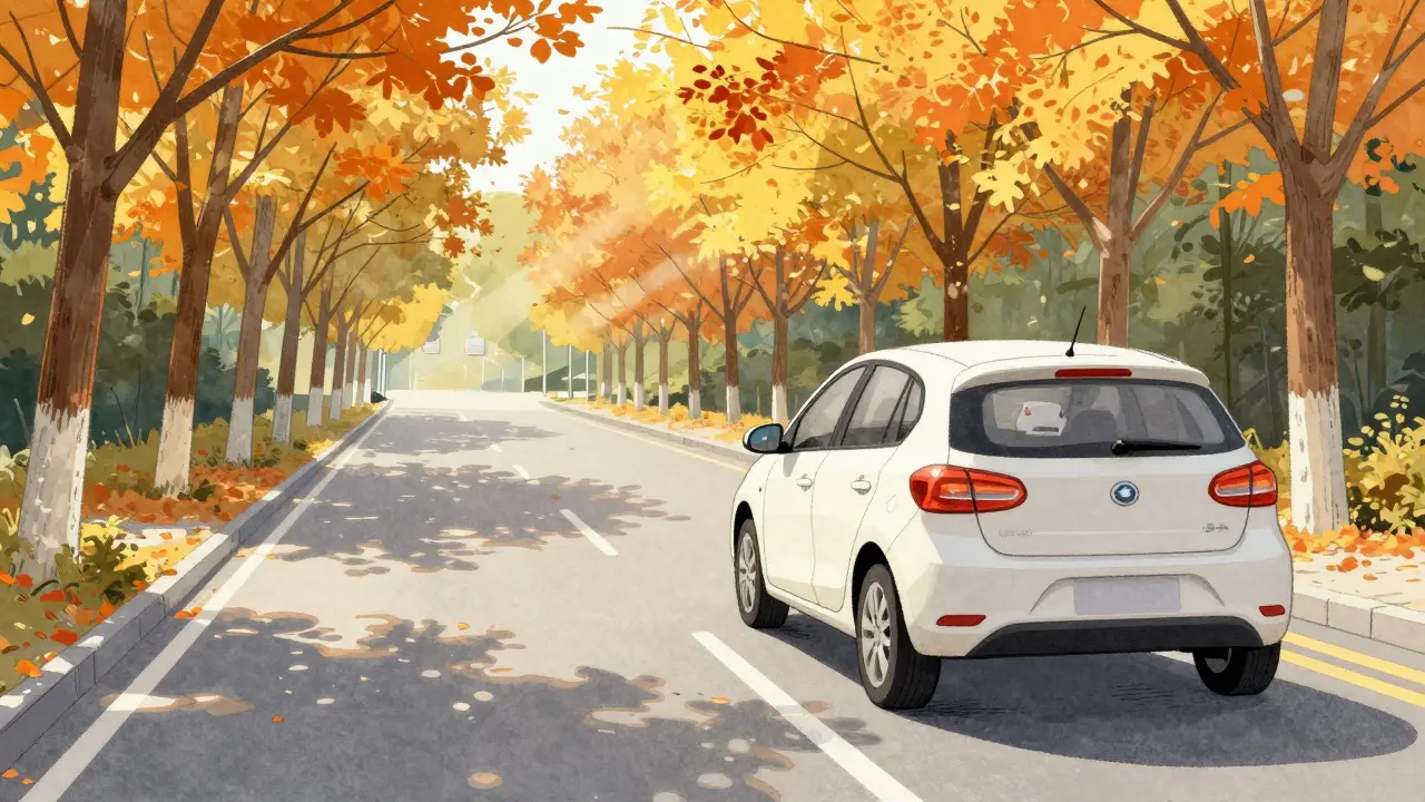 Машина безопасно завершает маневр обгона