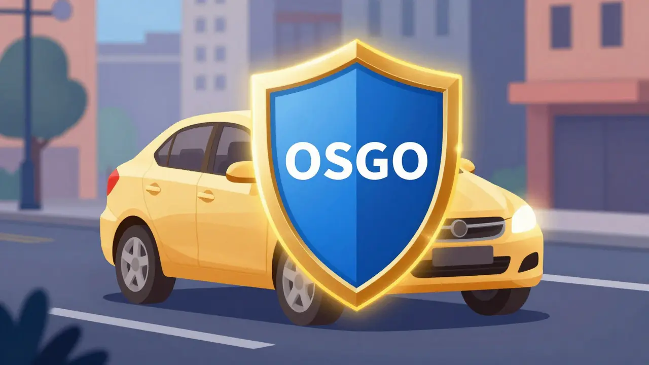 Концепция страхового щита: базовый полис ОСАГО дополняется золотым слоем ДОСАГО